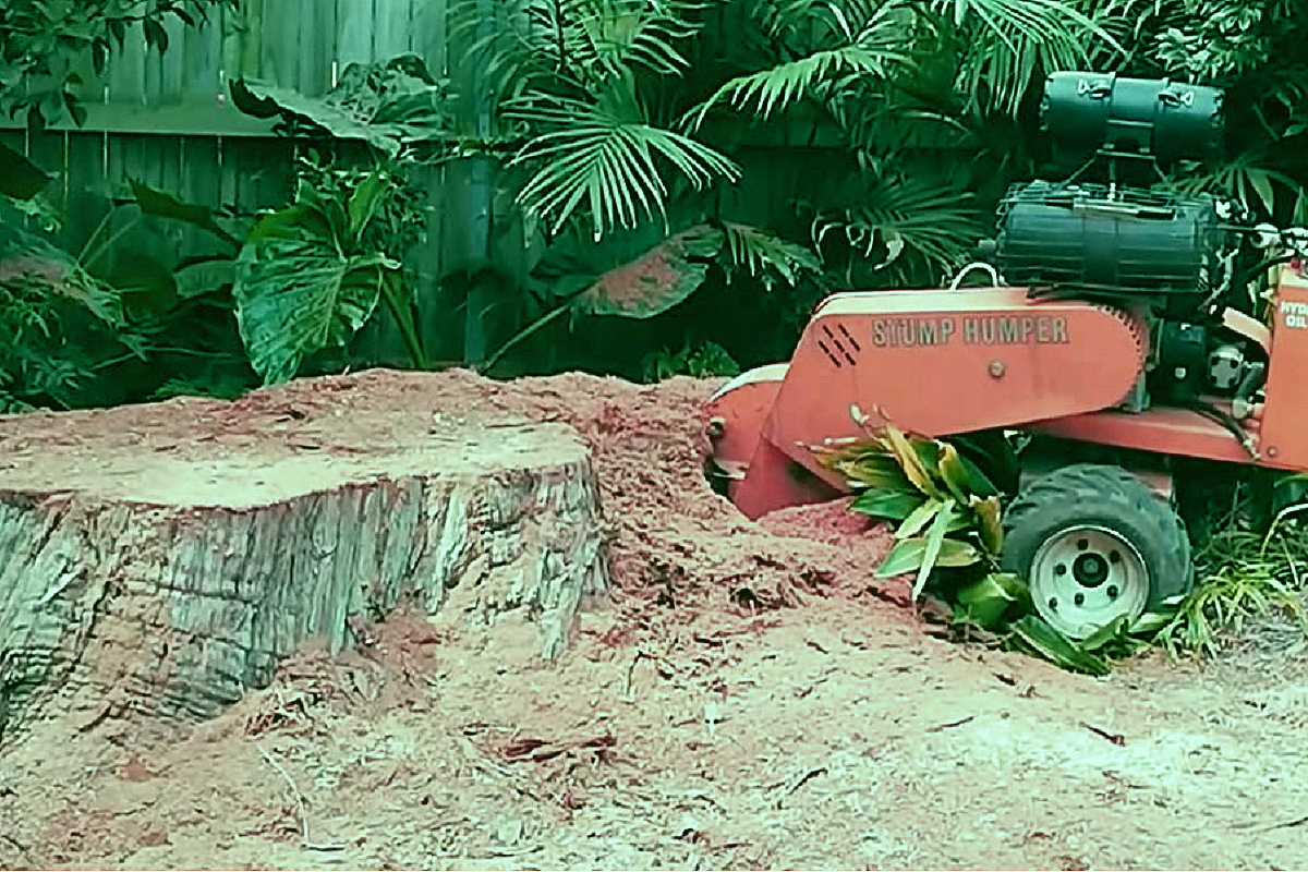 Stump Grinding