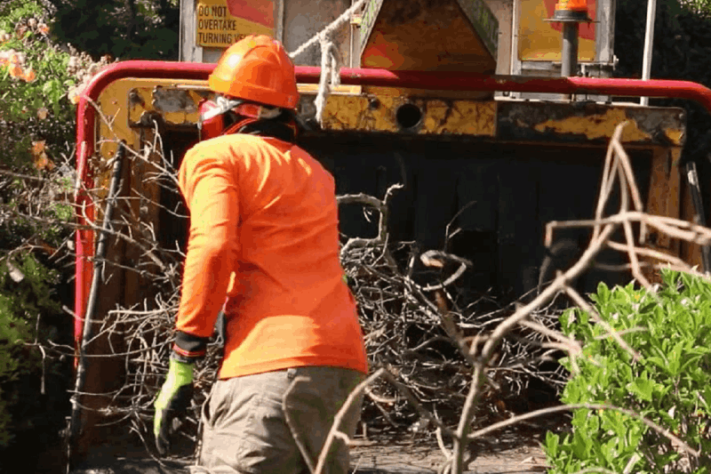 Tree Pruning