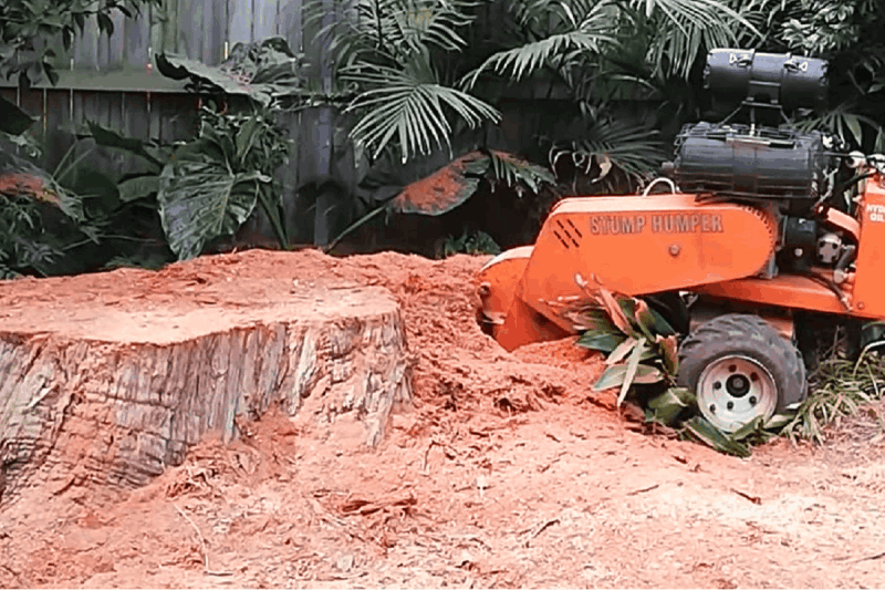 Stump Grinding