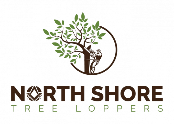 North Shore Tree Loppers