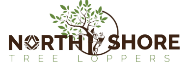 North Shore Tree Loppers | Tree Services for Tree Removal